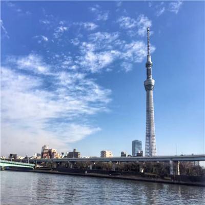 满江红·和王实之韵送郑伯昌